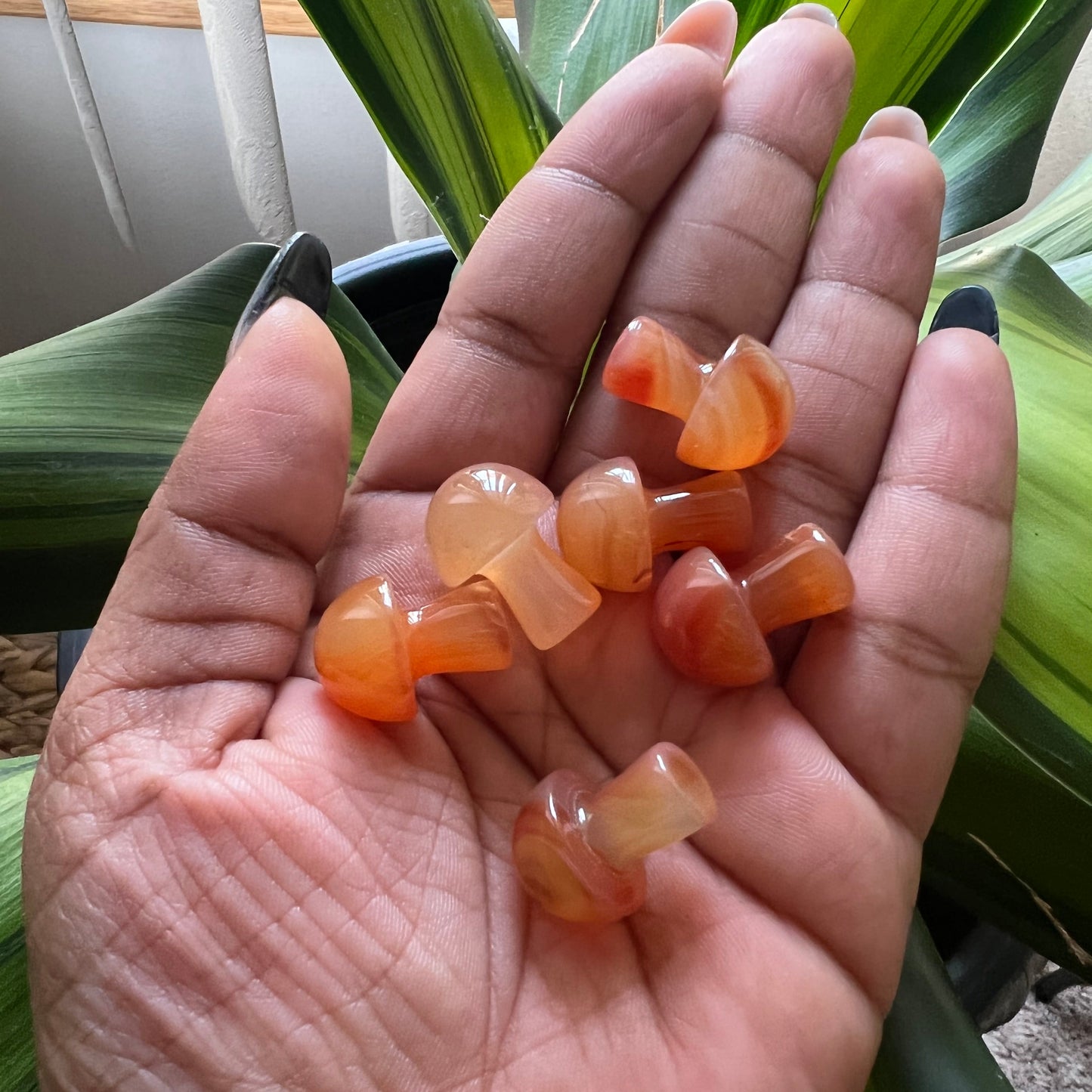 Carnelian Crystal Mini Mushroom